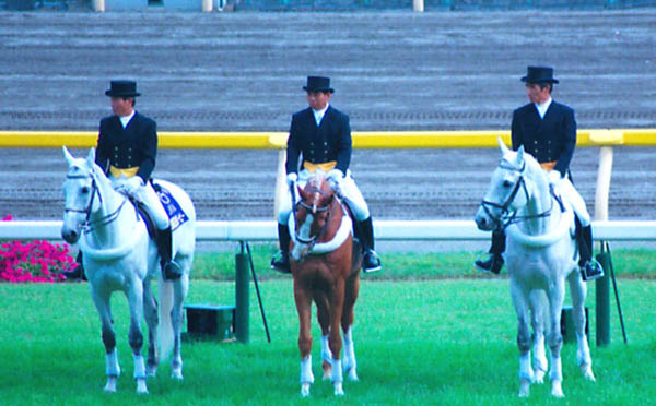 誘導馬写真館 ＋ 追悼・トウショウファルコ（1998年～1999年 東京競馬 