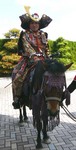 20070602_kiso2.jpg