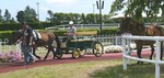 20070602_kiso6.jpg