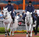 20080622_am (10).jpg
