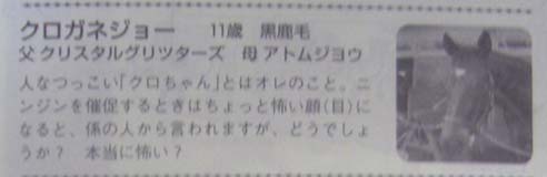 2009-kuro.jpg