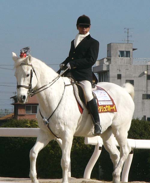 20081229_paku (3).JPG