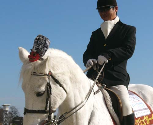 20081229_paku (5).JPG