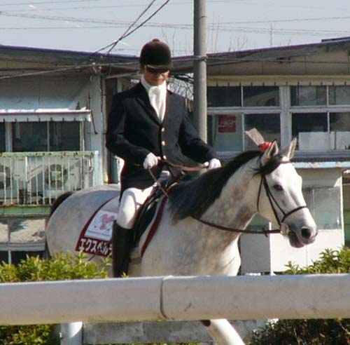 20081229_pe (1).JPG