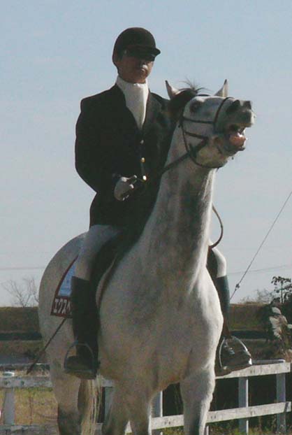 20081229_pe (3).JPG
