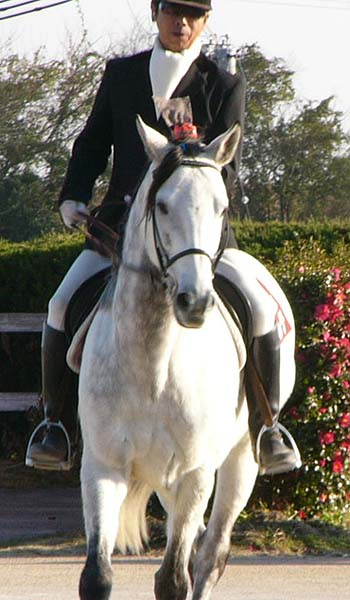 20081229_pe (6).JPG