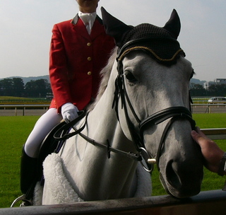 P1170776_taiki.JPG