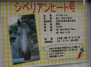 P1170827.JPG